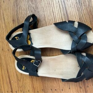 Black Swedish Hasbeens